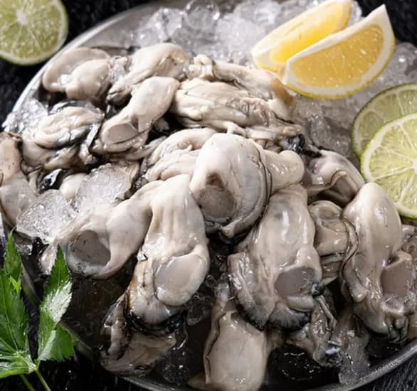 통영 생굴 2kg