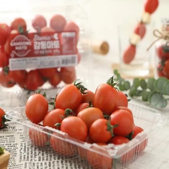스테비아 방울토마토 2kg
