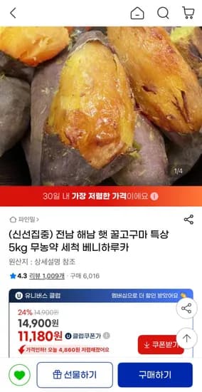해남 무농약 햇 베니하루카 꿀고구마 특상 5kg