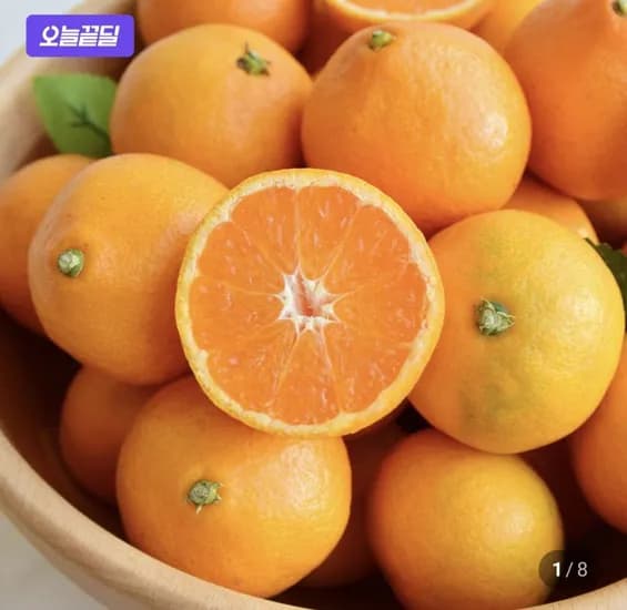 제주 서귀포 타이벡 감귤 노지 조생 4.5kg