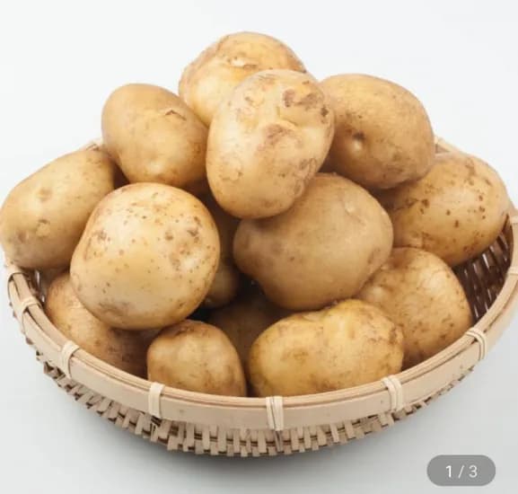 국내산 햇 수미감자 대 5kg