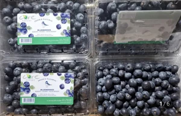 칠레산 생 블루베리 특 5mm 이상 510g X 2팩
