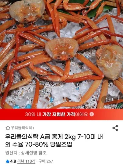 포항 구룡포 자숙 홍게 2kg