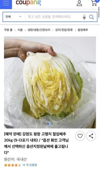 강원도 평창 고랭지 절임배추 20kg 9-13포기
