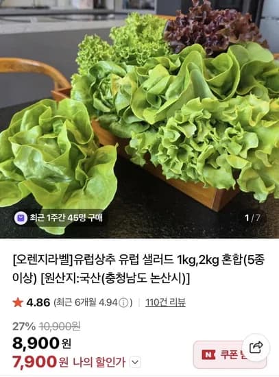 유럽 상추 샐러드 5종 2kg
