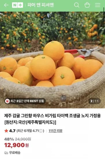 제주 그린향 타이벡 감귤 고당도 5kg 대과