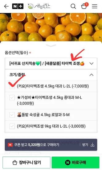 타이벡조생 감귤 4.5kg 대과 L-2L