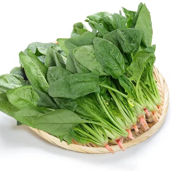 남해 보물초 시금치 1kg