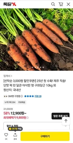 제주 햇구좌당근 못난이 쥬스용 0kg 1