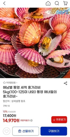 통영 세척 홍가리비 5kg