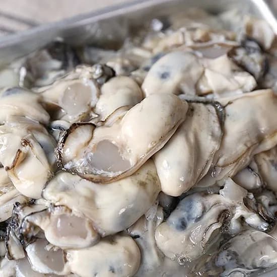 통영 햇 생굴 2kg