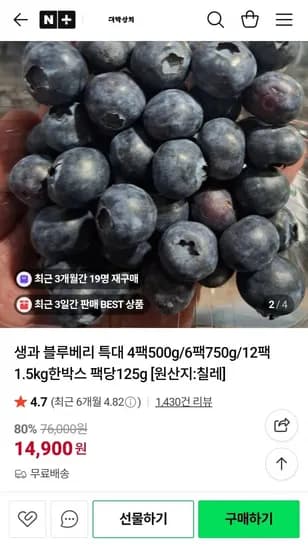 생과 블루베리 특대 125g 4팩