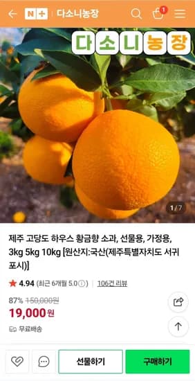 제주 하우스 황금향 소과 가정용 선물용