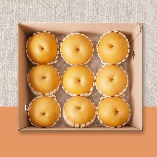 나주 신고배 5kg