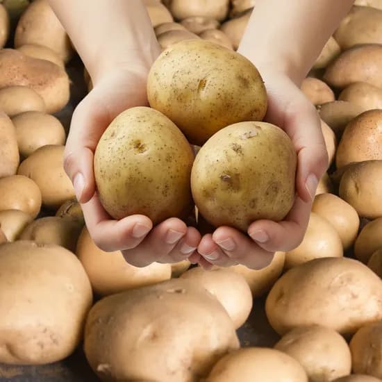 국내산 햇 수미감자 중 3kg