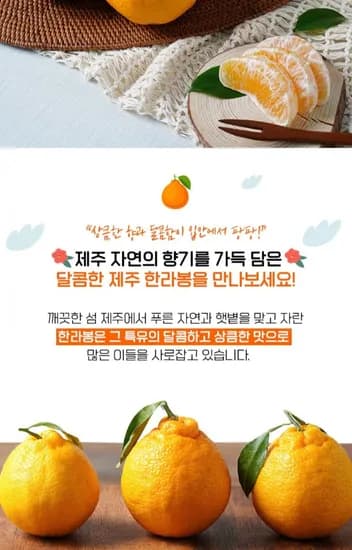 한라봉 가정용 하우스 혼합과 4kg