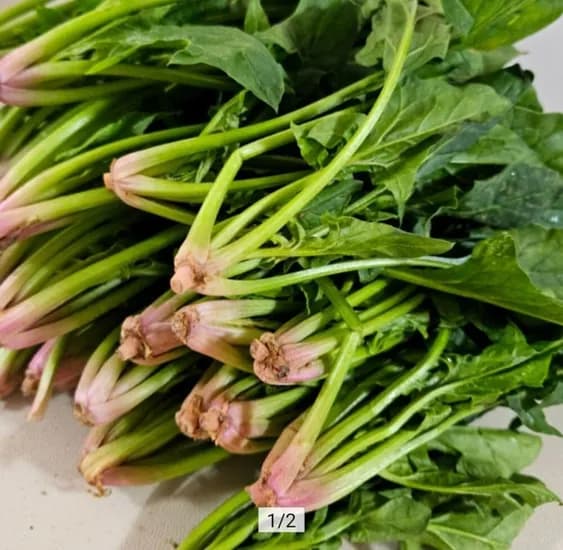 시금치 2kg