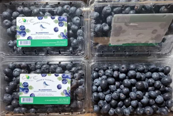 칠레산 생블루베리 특15mm이상혼합 510g X 2팩