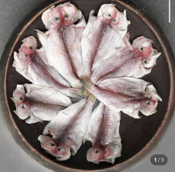 무지개 반건조 옥돔 10마리 1kg