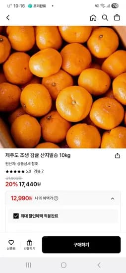 제주 타이벡 로얄과 5kg