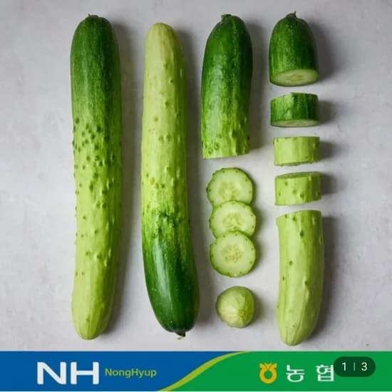 백다다기 못난이 오이 2kg 10개