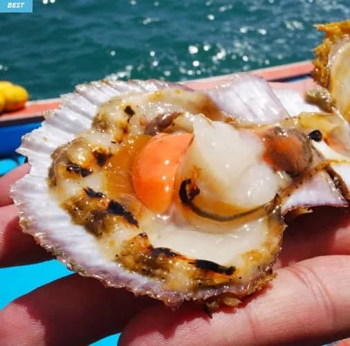 국내산 제철 가리비 3kg