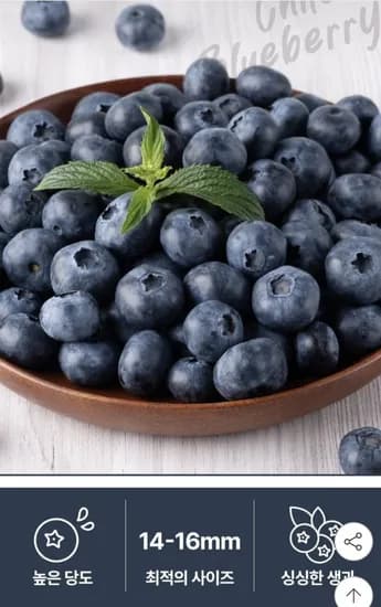 칠레산 생 블루베리 125g 6팩