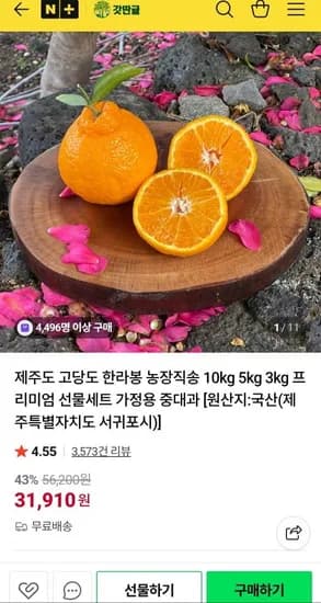 제주 한라봉 중대과 10kg