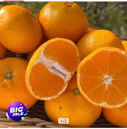 타이백 감귤 로얄과 S-2S 4kg    Wait, 4.kg might be a typo for 4kg. I'll use 4kg.