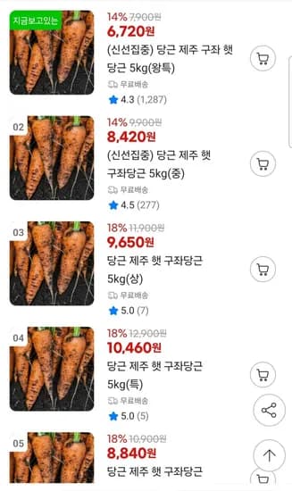 제주 구좌 햇 당근 5kg 왕특