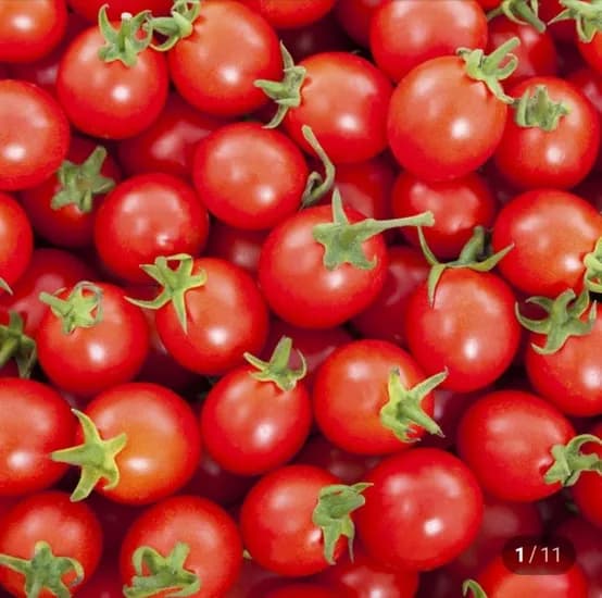 대추방울토마토 1kg