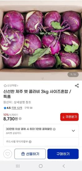 제주 햇콜라비 3kg
