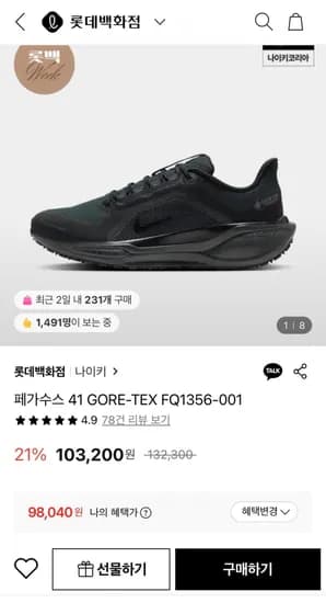 나이키 페가수스 41 GORE-TEX FQ1356-001