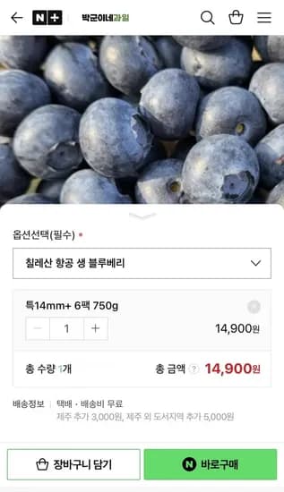 칠레산 특사이즈 생 블루베리 6팩