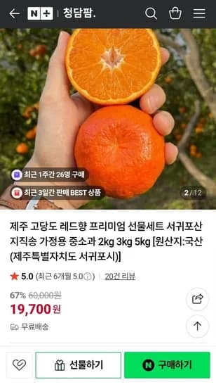 제주 레드향 중소과 2kg