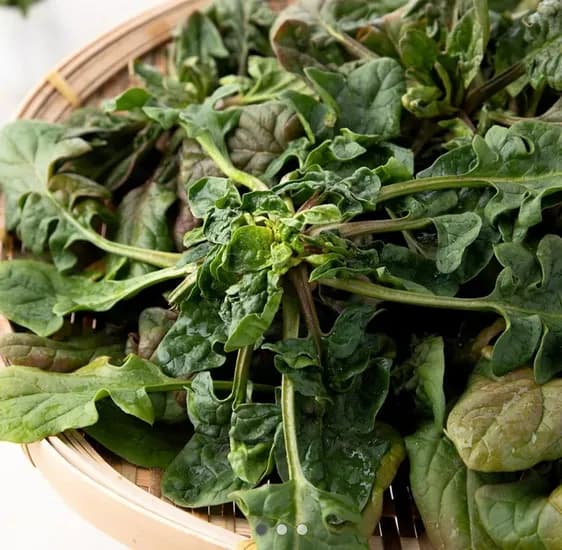 남해 노지 보물초 시금치 1kg