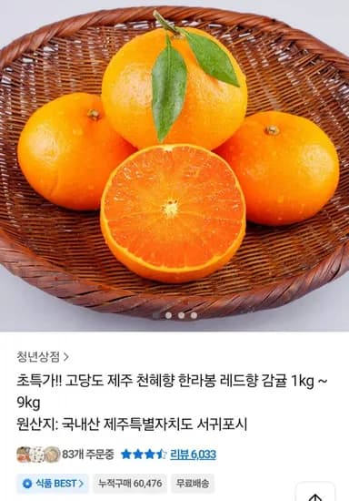 제주 천혜향 한라봉 레드향 감귤 1kg 9kg