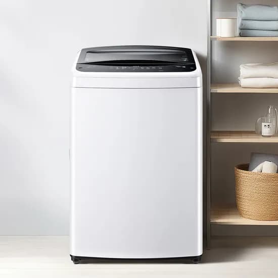 LG 통돌이 세탁기 15kg TR15WV5