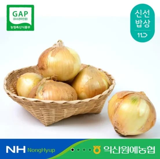 국산 양파 중대사이즈 5kg