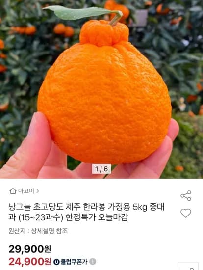낭그늘 제주 한라봉 가정용 5kg