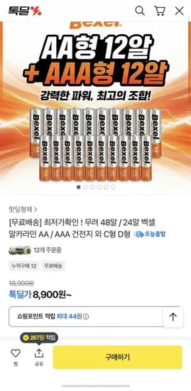 벡셀 AA 건전지 48알