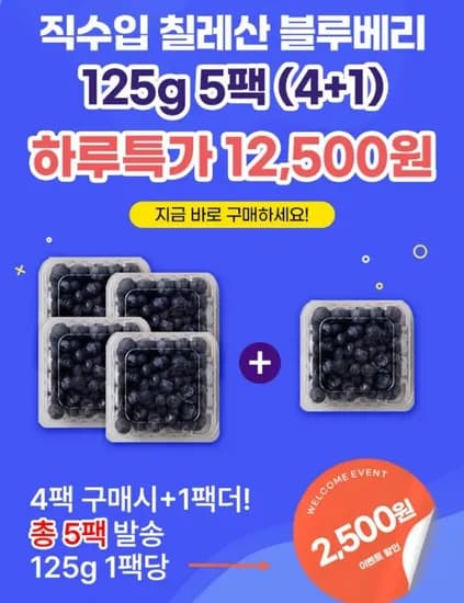 칠레산 생블루베리 125g 5팩