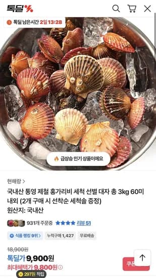 국내산 통영 홍가리비 세척 선별 대자 총 3kg 60미 내외