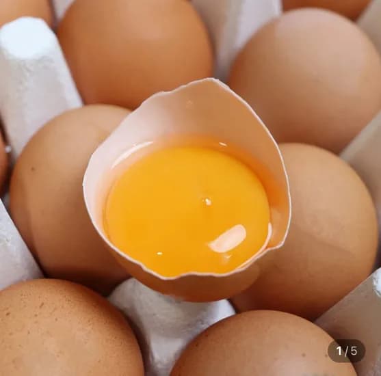 난각번호 번 유정란 칵테일 새우 900g 삼배체굴 2kg 조지아맥스 240ml 30캔