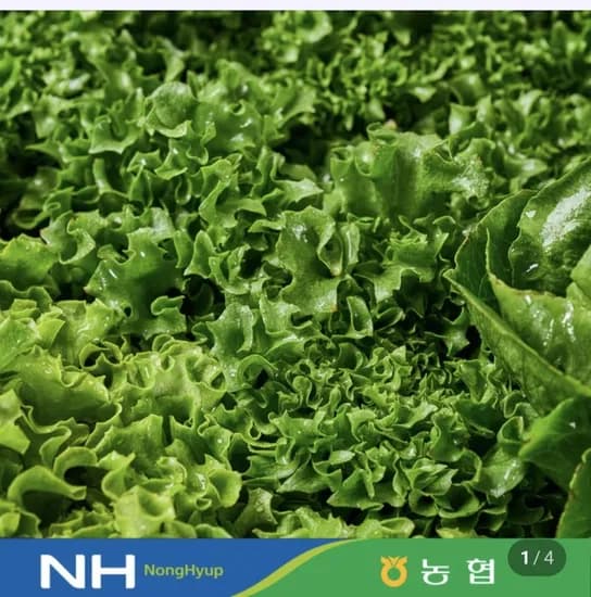 유러피안샐러드 1kg