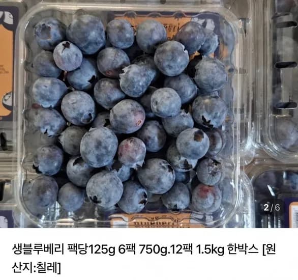 생블루베리 6팩 750g