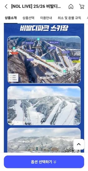 비발디파크 리프트권