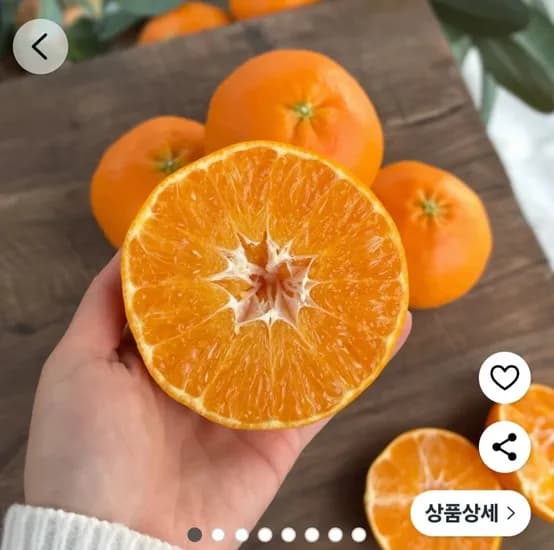 레드향 소과 2kg