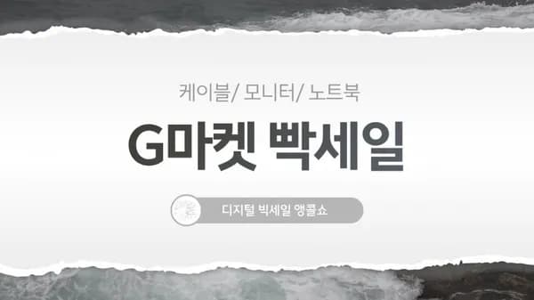 빡세일 디지털 모니터 23종