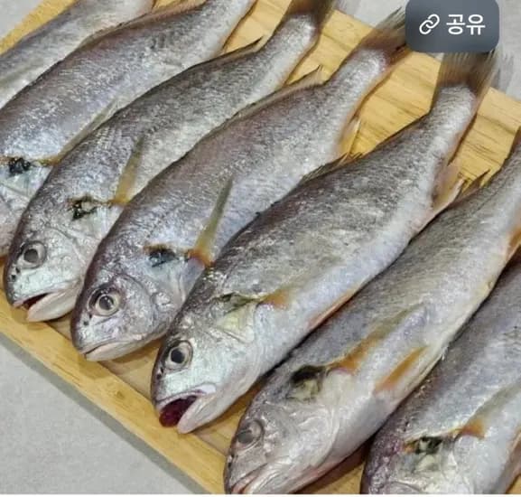 국내산 백조기 1kg